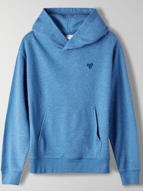 Aritzia Oversized Hooded Sweatshirt